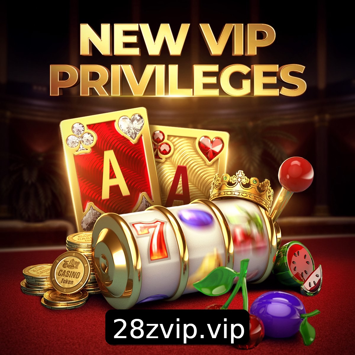Programa VIP 28z